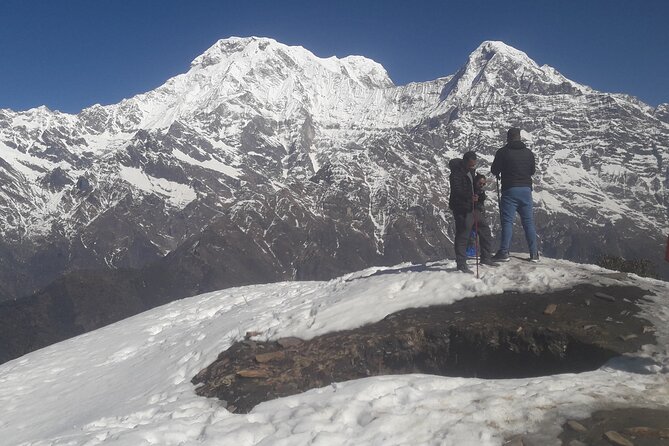 Private Mardi Himal Trek - Day 4: Mardi Himal Base Camp (or the shorter viewpoint) then down to Badal Danda