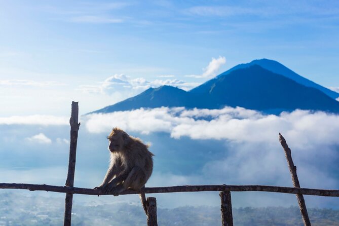 Private Mount Batur Sunrise Trekking Tour - Private tour energy: why “just your group” is more than a label