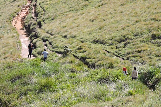 Private Multi-Day Sri Lanka Treks and Hikes Tour - Kirigalpoththa in Horton Plains: a serious climb where conditions matter
