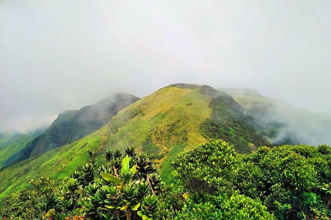 Private Multi-Day Sri Lanka Treks and Hikes Tour - Pattipola to Ohiya: the rail hike that turns transport into an active day