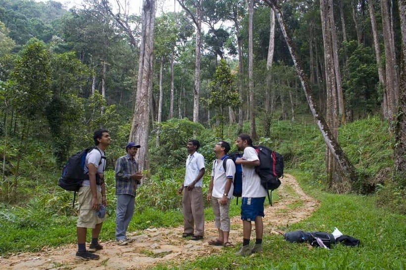 Private Munnar Tea Trek - Should you book the Private Munnar Tea Trek?