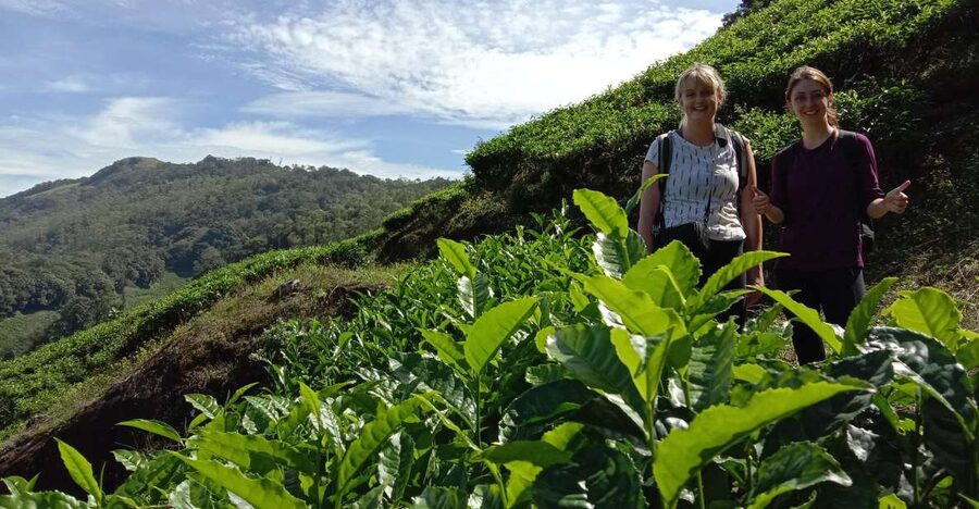 Private Munnar Tea Trek - From KSRTC Depot Munnar to the tea hills