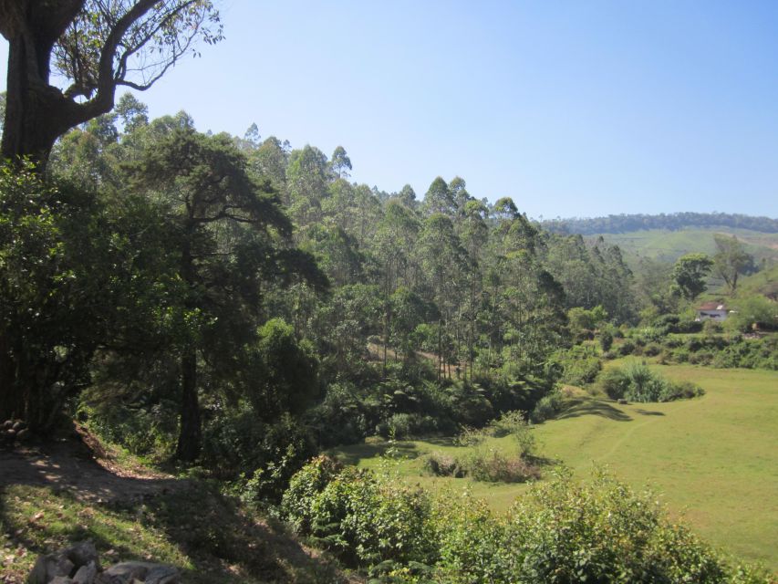 Private Munnar Tea Trek - Tea-making stories that connect plants to your cup