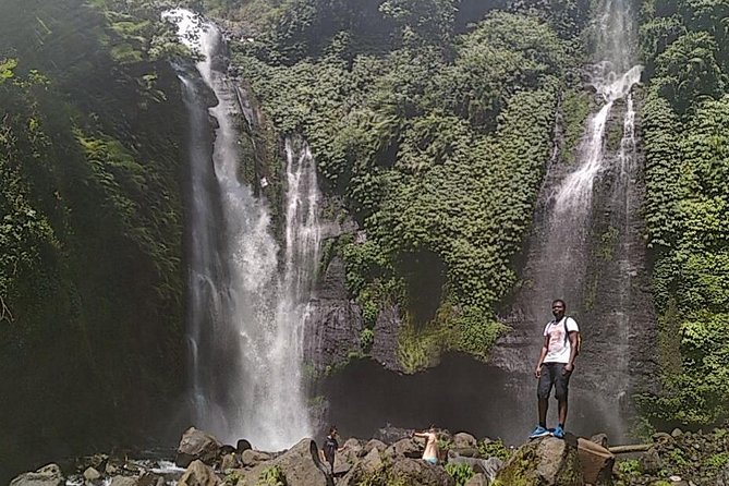 Private Sekumpul Waterfalls Trekking Tour - Coffee plantation and the story behind kopi luwak