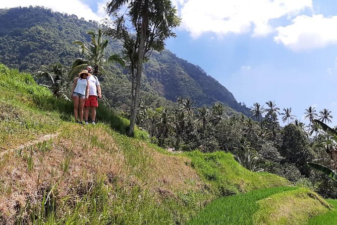 Private Sekumpul Waterfalls Trekking Tour - Jungle hike to Sekumpul’s waterfalls: 3 hours of real terrain