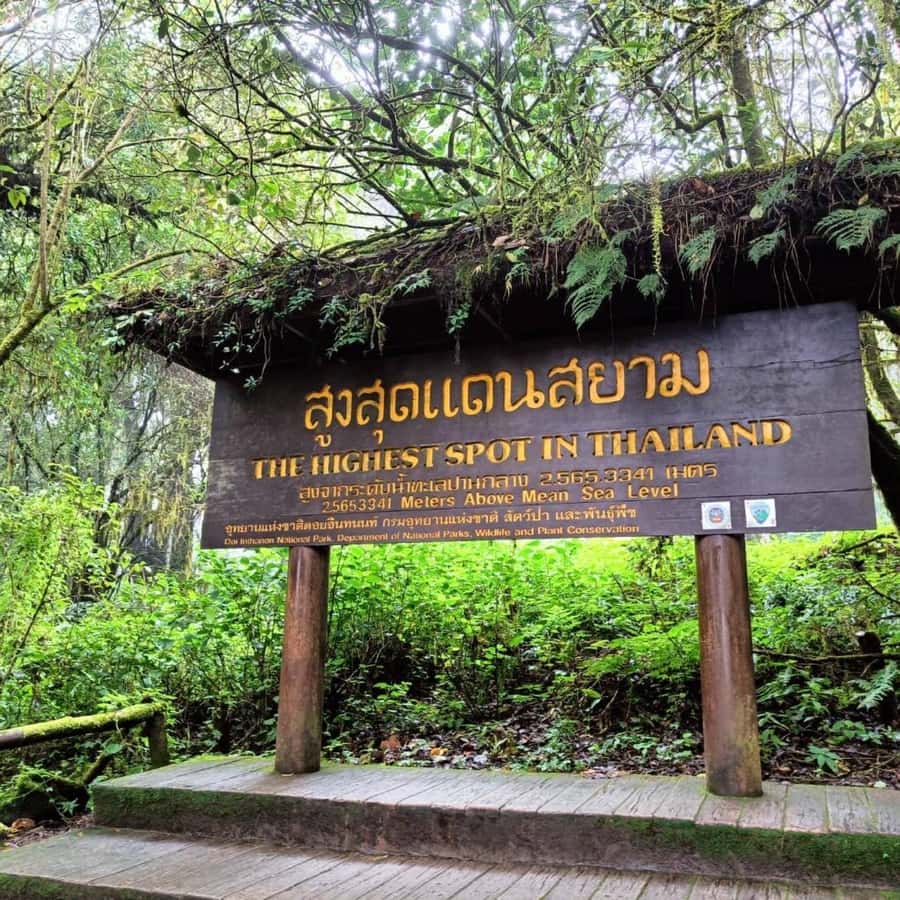 Private Tour Doi Inthanon, Trekking Kew Mae Pan Nature Trail - Key things I’d bank on