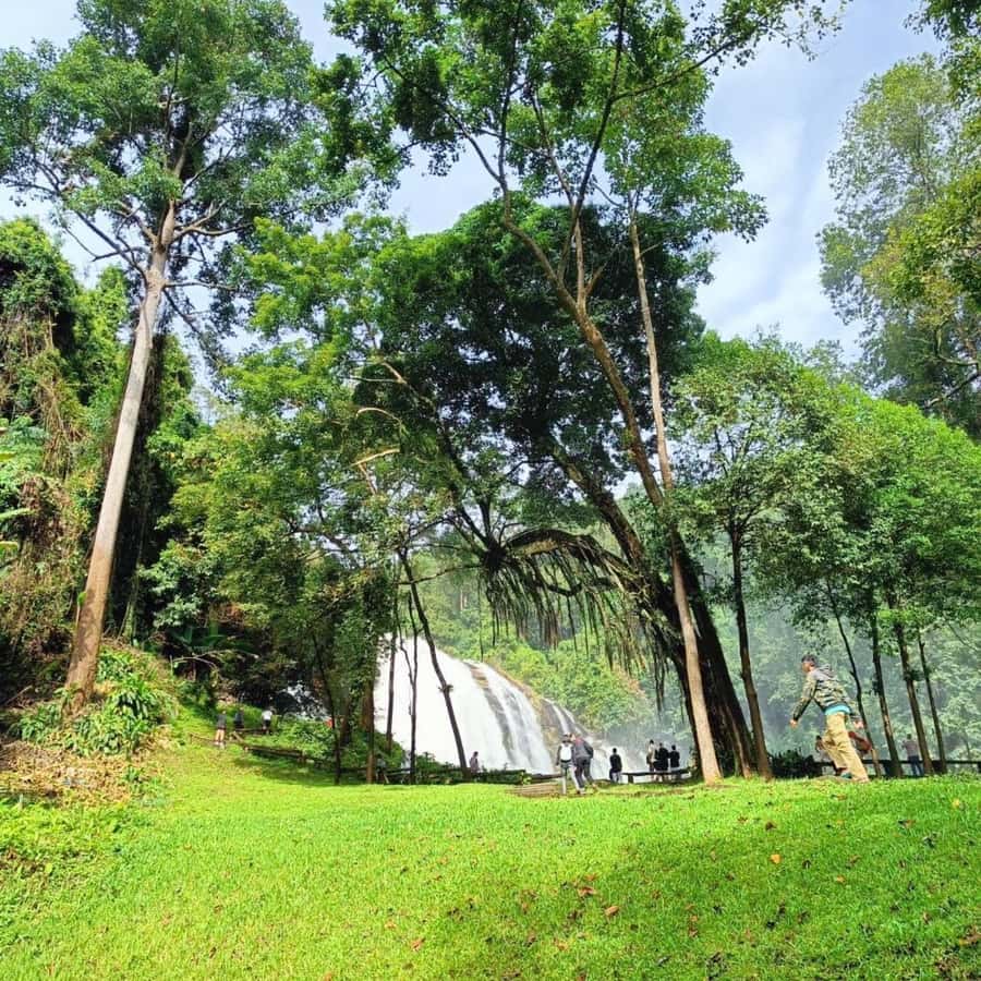 Private Tour Doi Inthanon, Trekking Kew Mae Pan Nature Trail - Thailand’s highest point and the King & Queen pagodas
