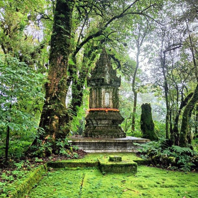 Private Tour Doi Inthanon, Trekking Kew Mae Pan Nature Trail - Wachiratharn Waterfall: a nature stop with real timing pressure