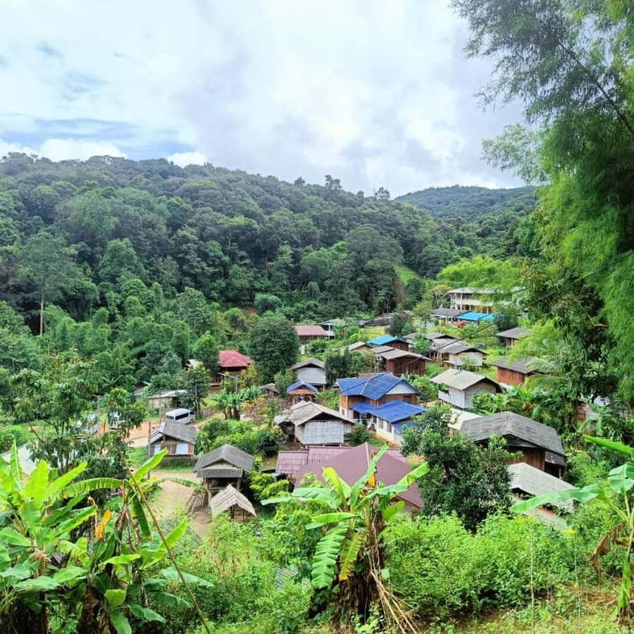 Private Tour Doi Inthanon, Trekking Kew Mae Pan Nature Trail - Ban Mae Klang Luang: Karen village visit and freshly grounded coffee