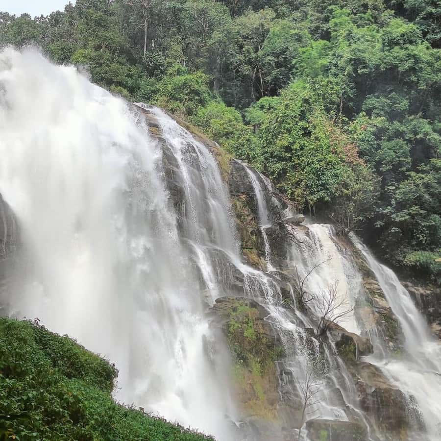 Private Tour Doi Inthanon, Trekking Kew Mae Pan Nature Trail - Getting to Doi Inthanon: travel time and why the weather matters