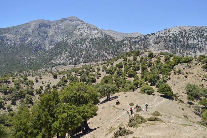 Private Trekking Rouvas Gorge - Quick Hits: Rouvas Gorge in a Nutshell
