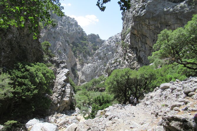 Private Trekking Rouvas Gorge - Rouvas Holly Forest: The “Slow Down and Look” Phase