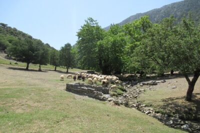 Private Trekking Rouvas Gorge - Into the Agios Nikolaos Gorge: River Bed, Waterfalls, and Ponds