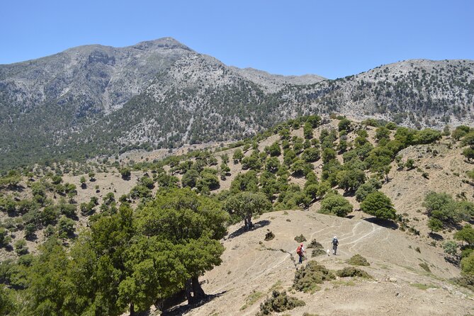 Private Trekking Rouvas Gorge - Ai Giannis Picnic Area: Benches, Toilets, and a Quick Reset