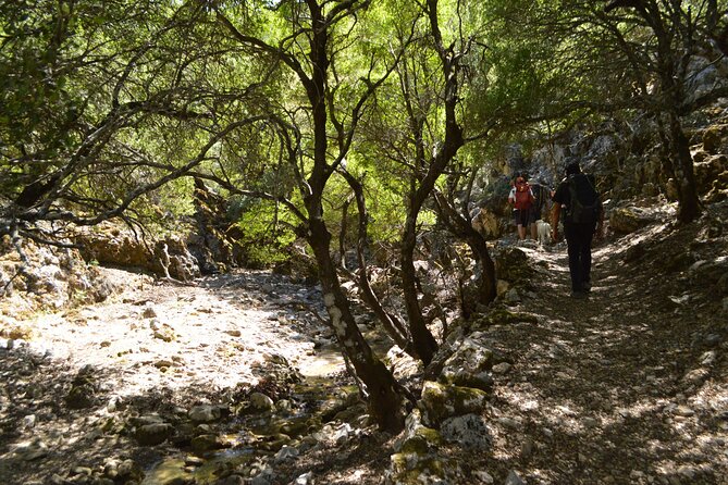 Private Trekking Rouvas Gorge - What’s Included (and Why It Changes the Day)