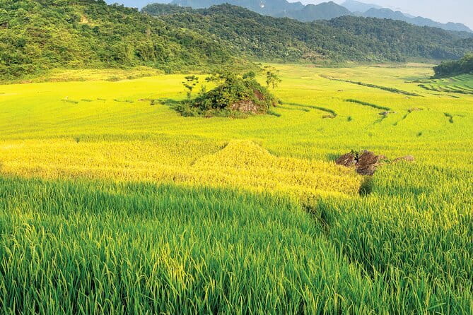 Pu Luong 3-Day Adventure: Trekking, Cycling & Local Cooking Class - Key things that make this Pu Luong 3-day tour worth it