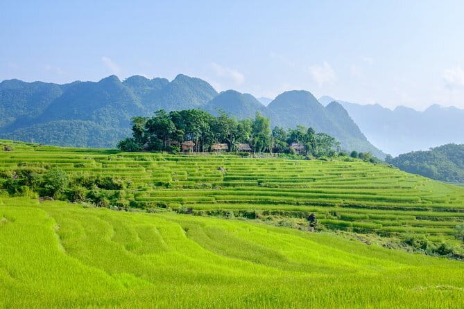 Pu Luong 3-Day Adventure: Trekking, Cycling & Local Cooking Class - Who should choose this Pu Luong 3-day adventure?