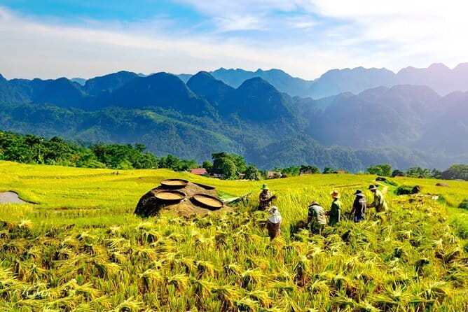Pu Luong 3-Day Adventure: Trekking, Cycling & Local Cooking Class - Day 1 in Pu Luong Nature Reserve: stilt houses, buffalo cart, and Hieu Waterfall