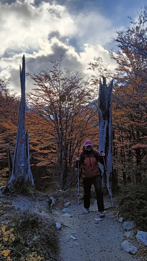 Puerto Natales: Base of the Towers Trekking Experience - Base of the Towers View: The Weather Lottery (With Real Odds)
