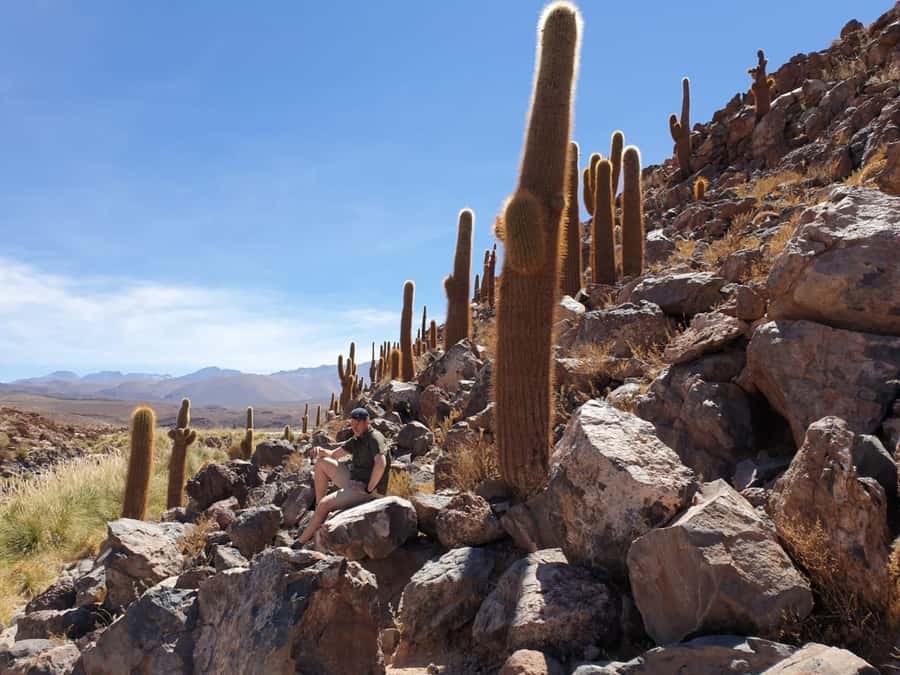 Purilibre Trekking - Puritama Canyon to Hot Springs: what the 4.5 hours really feel like