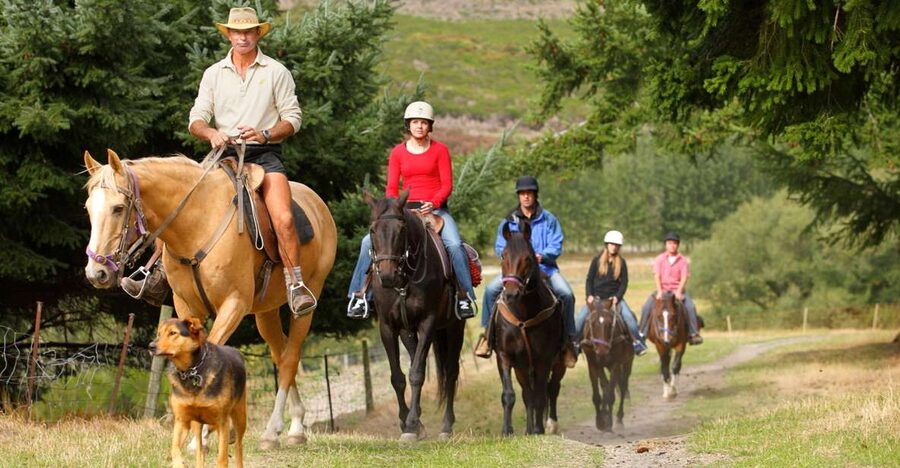 Queenstown: Walter Peak Horse Trek & Queenstown Lake Cruise - Key highlights worth planning for