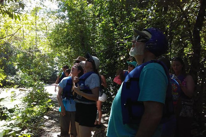 Rainforest Trek to Natural Pool - Taino Bay & Amber Cove ports - Getting From the Cruise Port to Damajagua: Ride Comfort Matters