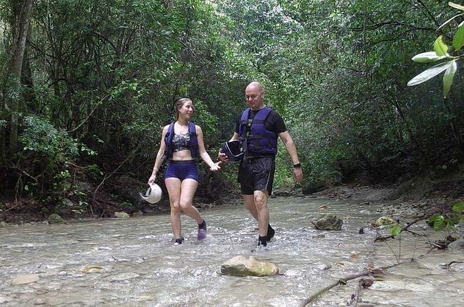 Rainforest Trek to Natural Pool - Taino Bay & Amber Cove ports - The Guide Experience: Plants, Birds, and Fruit-Tree Spotting