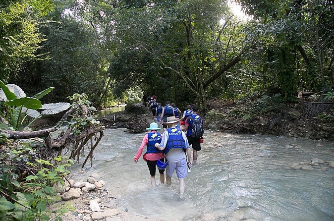 Rainforest Trek to Natural Pool - Taino Bay & Amber Cove ports - Price and Value: Why $79 Can Make Sense for a Cruise Excursion