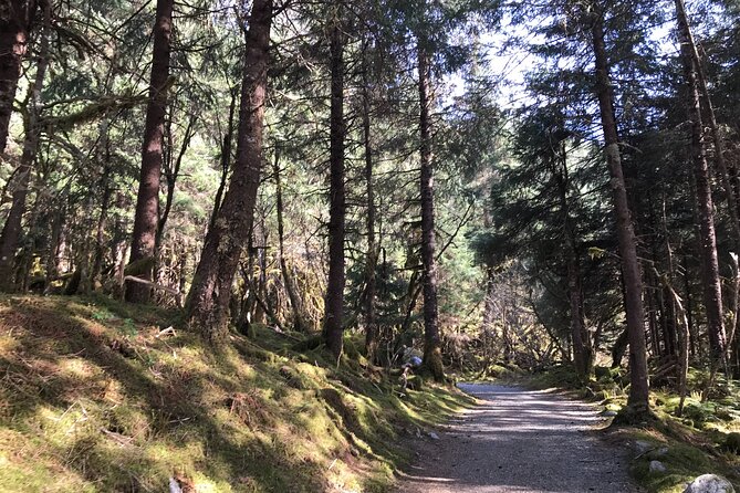 Rainforest & Waterfalls Trek - How the private trek really feels: distance, elevation, and your group’s speed