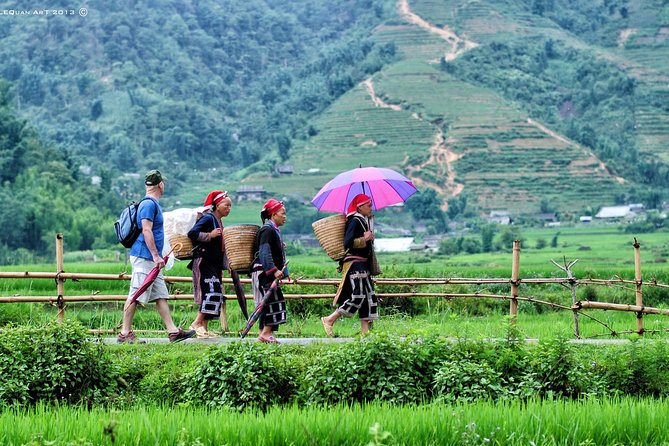 Red Dao village trek and Herbal bath - How the trek actually feels: rice fields, farm paths, and a small-group pace