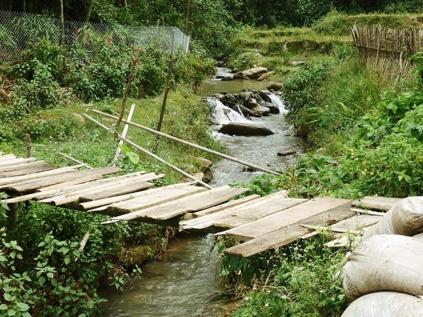 Red Dao village trek and Herbal bath - Who should book this Red Dao village trek (and who should think twice)