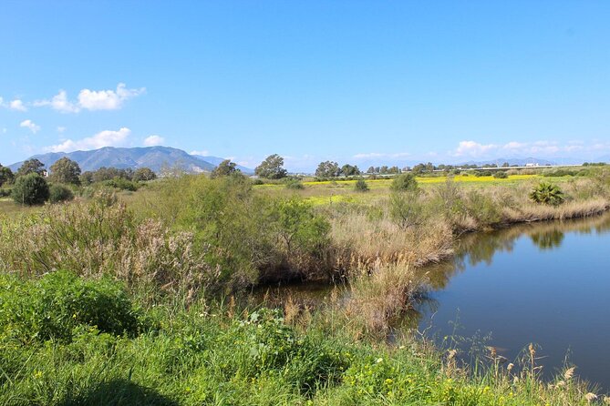 Rent a Trekking bike: Full Day 24 hours - Guadalhorce River Estuary Natural Area: Birds From the Bike Lane