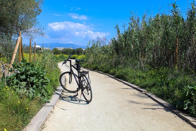 Rent a Trekking bike: Full Day 24 hours - How the 4-Hour Guided Ride Fits a Full-Day Bike Day