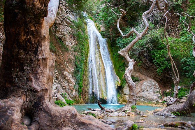 River Trekking in Neda - Swimming Stops and Cave Lore: Where the Guide Adds Real Value
