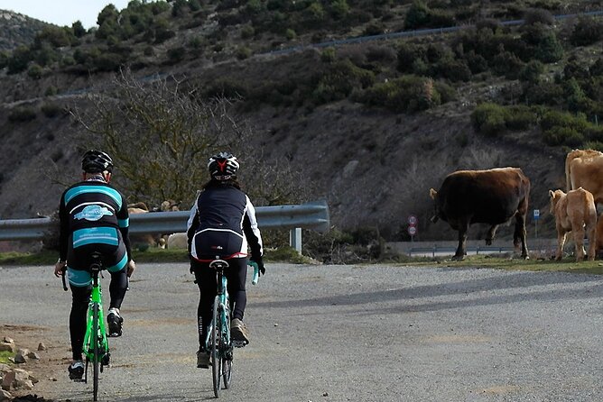 Road, Trekking or E-bike Bike Rental in Cagliari - A sample ride you can build: salt ponds, Poetto beach, lighthouse