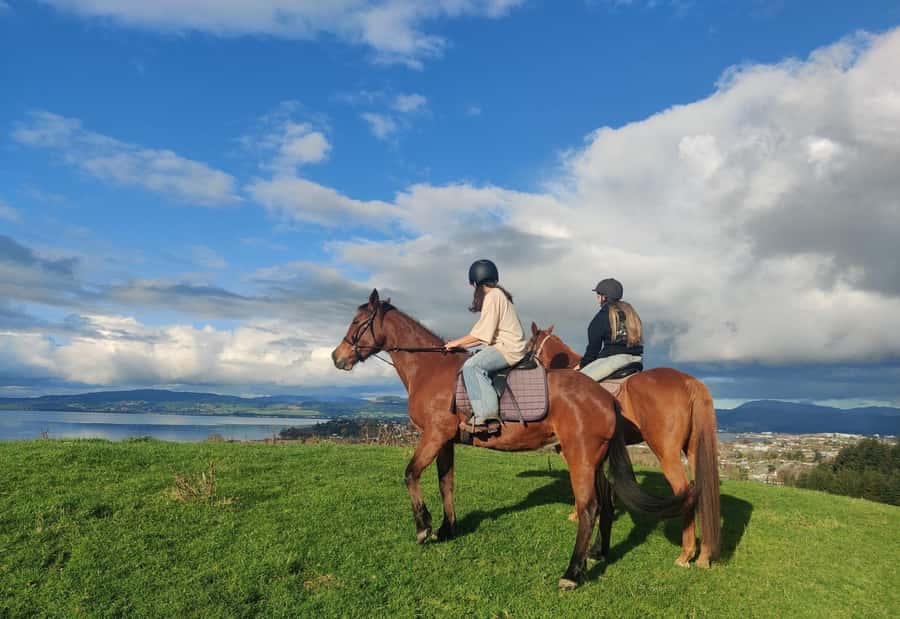 Rotorua: Scenic Horse Trek - Key Points at a Glance