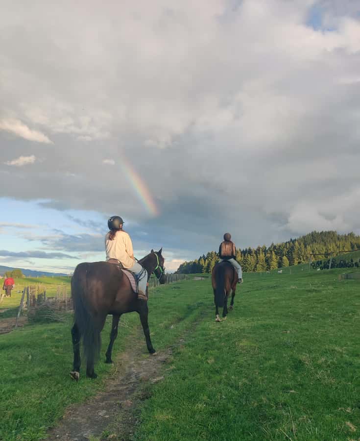 Rotorua: Scenic Horse Trek - Horse Views From Rotorua’s Foothills: What This 1-Hour Trek Feels Like