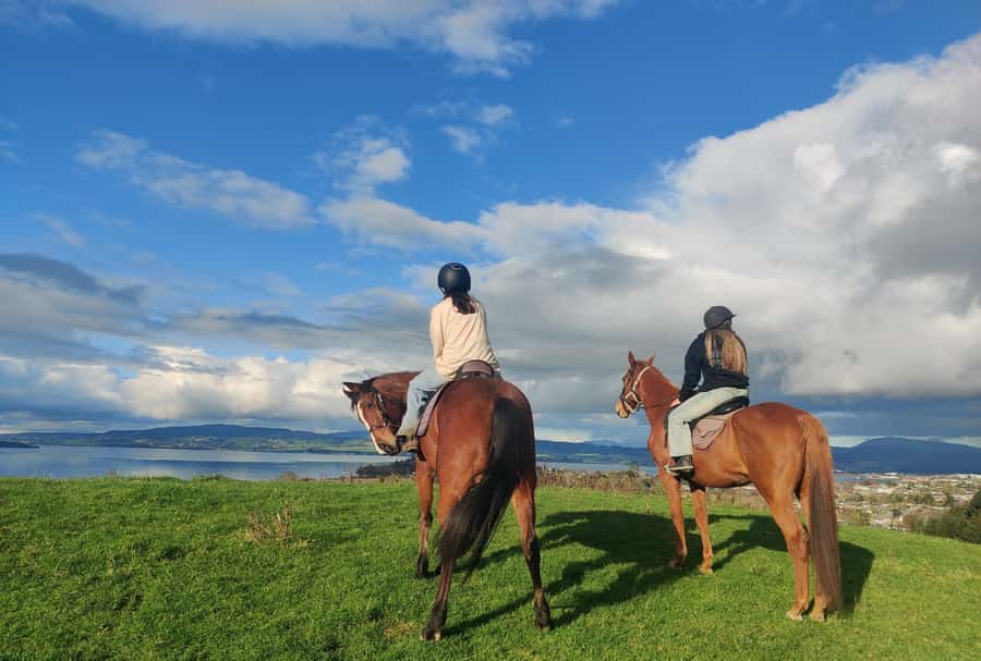 Rotorua: Scenic Horse Trek - The Ride Itinerary: Rolling Farmland, Trail Time, and Lake Rotorua Lookouts