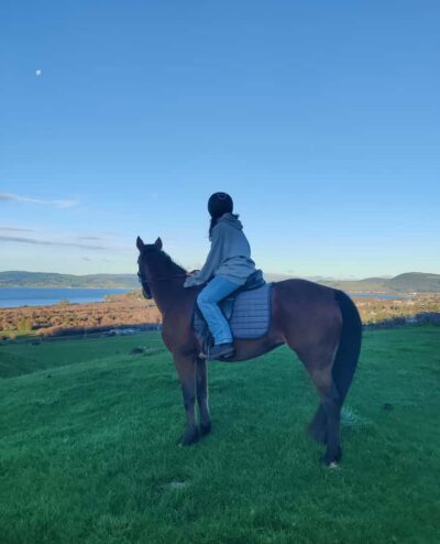 Rotorua: Scenic Horse Trek - Where You Start: Adventure Playground, Helmet Fit, and First Moves