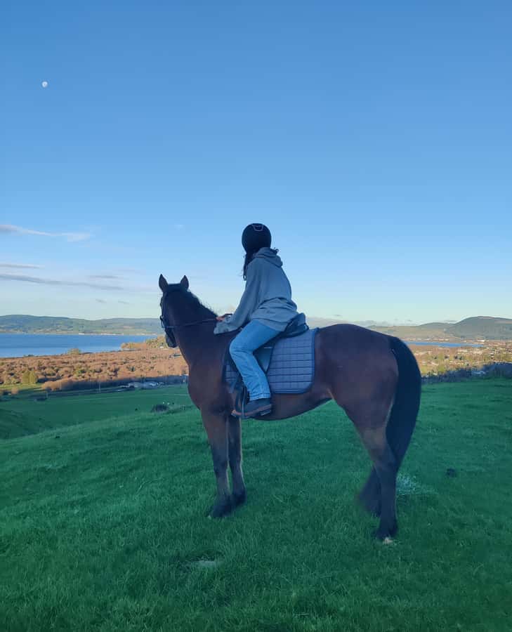 Rotorua: Scenic Horse Trek - Where You Start: Adventure Playground, Helmet Fit, and First Moves