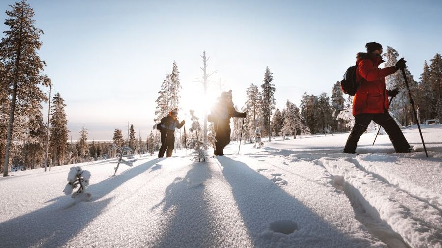 Rovaniemi: Lapland Ski Trekking Safari - Ski Trekking in Rovaniemi’s Taiga: What the 4 Hours Actually Feels Like