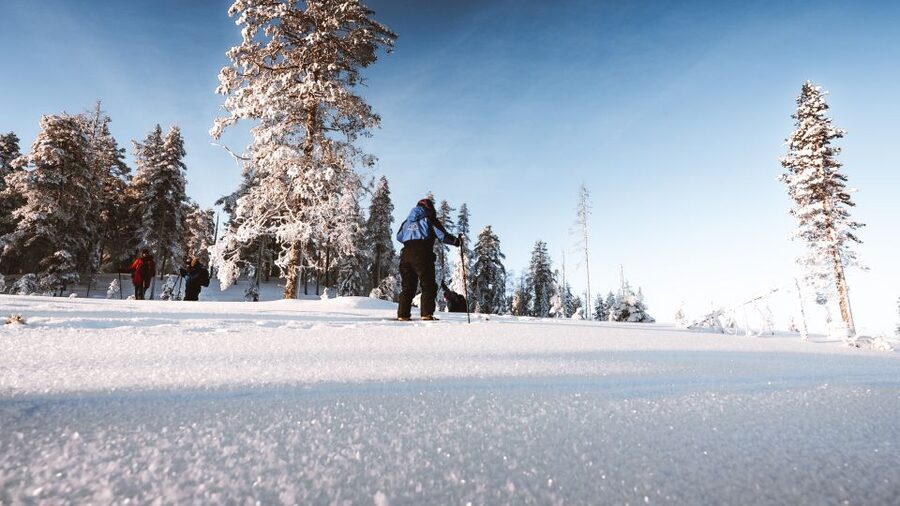 Rovaniemi: Lapland Ski Trekking Safari - Learning with a Real Winter Coach: It’s About Control, Not Perfection