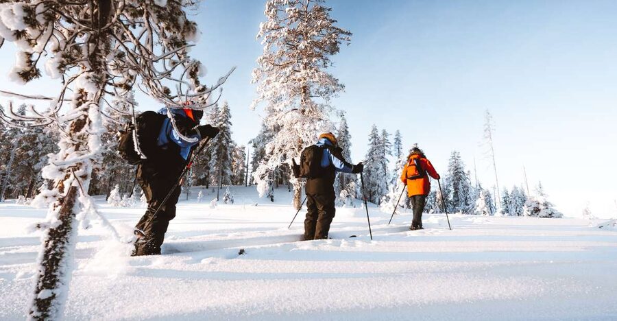 Rovaniemi: Lapland Ski Trekking Safari - Weather, Clothing, and Fitness: Your Best Odds for a Great Day