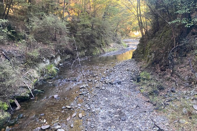 Rubicon Valley Horse Treks - 2 Hour River Trail Horse Trek - Chris’s guiding style: small groups, calm horses, real instruction