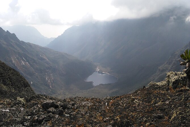 Rwenzori Mountains Trekking with Margherita Peak Summit - Day by day: from Nyakalengijja forest start to Mihunga gate finish