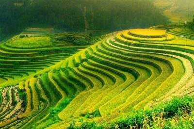 Sa Pa 2-Day Moderate Trek and Homestay Limousine Tour from Hanoi - Arriving in Sapa around midday: costumes, orientation, and first village time