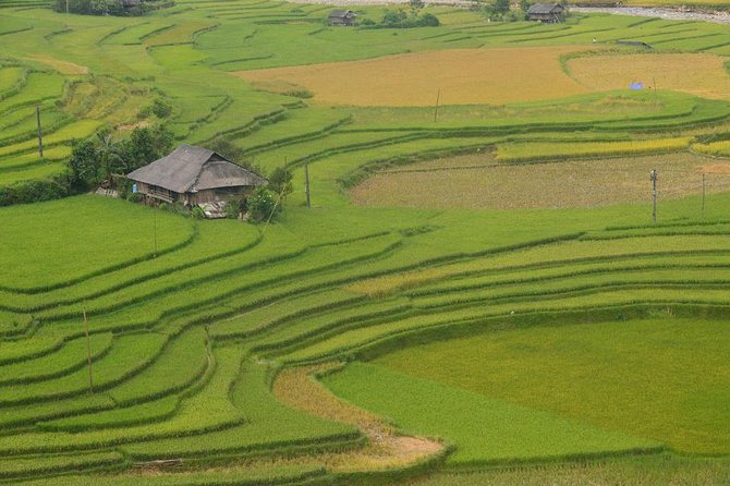 Sa Pa 2-Day Moderate Trek and Homestay Limousine Tour from Hanoi - English guide and max-10 group size: how it changes the day