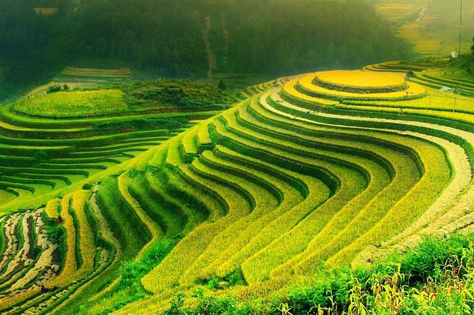 Sa Pa 2-Day Moderate Trek and Homestay Limousine Tour from Hanoi - Arriving in Sapa around midday: costumes, orientation, and first village time