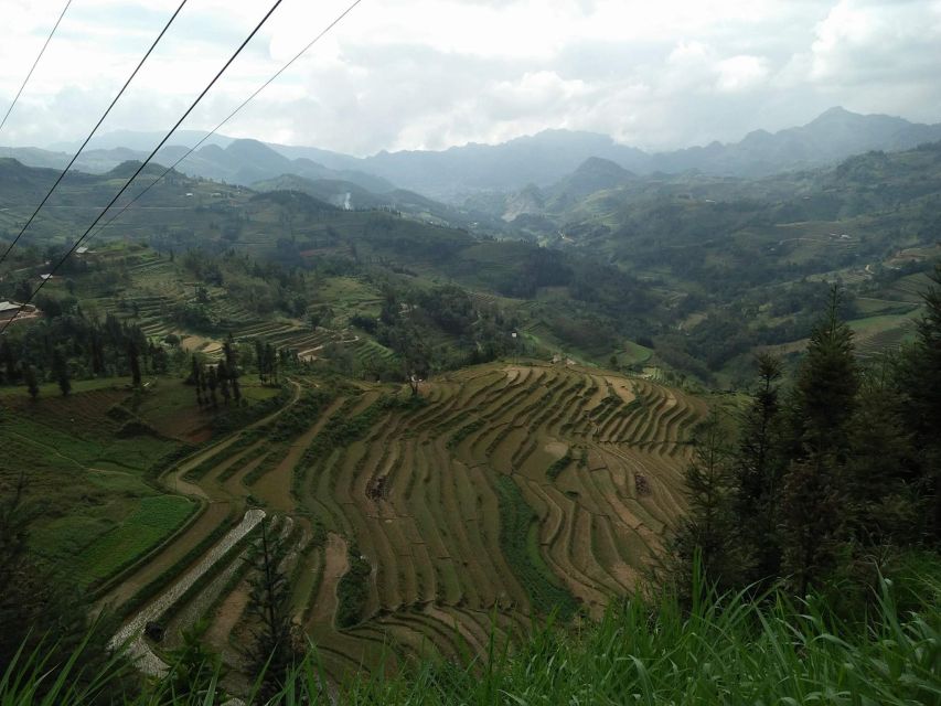 Sa Pa: 2-Day Trekking Trip with Ethnic Minority Homestay - Price and Logistics: What This $55 Includes (and Why It’s Fair)