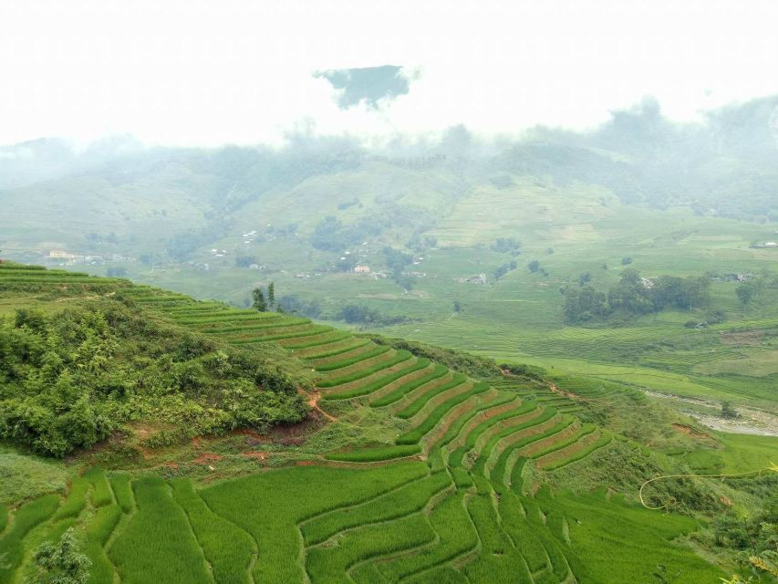 Sa Pa: 2-Day Trekking Trip with Ethnic Minority Homestay - Pace, Trail Conditions, and What to Pack